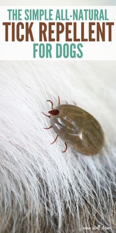 the simple all natural tick repellent for dogs is an easy and effective way to get rid from ticks