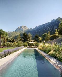 an outdoor swimming pool surrounded by greenery and lavenders with mountains in the background