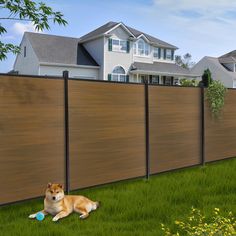 a dog laying in the grass next to a fence