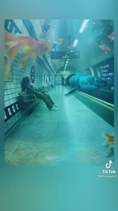 an empty subway station with fish in the water