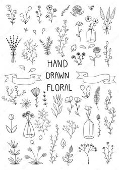 hand drawn floral design elements in black and white, with the words hand drawn floral