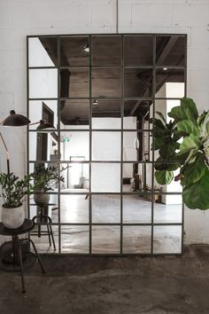 a mirror sitting on top of a table next to a potted plant in front of it