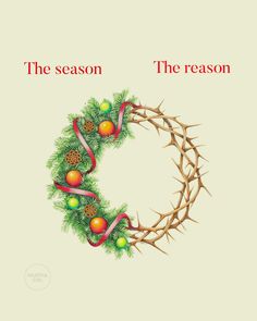 the season and the reason poster