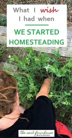 The 5 things every beginning homesteader needs. What I use all the time, what pays for itself in record time, and what I simply can't live without Gardening Layout, Homesteading Diy, Homestead Farm, Patio Small, Homestead Gardens, Homesteading Skills, Urban Homesteading, Living Off The Land, Homestead Survival