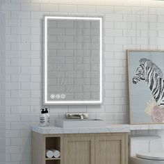 a bathroom with a zebra painting on the wall next to a toilet and sink in front of a mirror