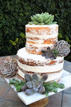 a three tiered cake with succulents on top