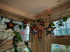 several star shaped lights hanging from the ceiling next to a potted plant in front of a window