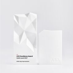 the award is presented in front of a white background with an origami design