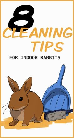 a rabbit sitting next to a blue shovel with the words 8 cleaning tips for indoor rabbits