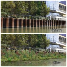 before and after photos of the same building on the other side of the river, it looks like they have been cleaned