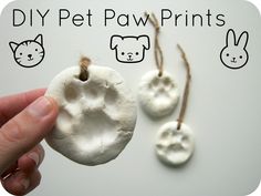 there are pictures of different dogs and their paw prints