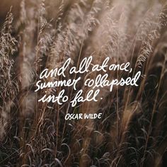 some tall grass with the quote and all at once, summer collapsed into fall