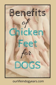 chicken feet for dogs with the words benefits of chicken feet for dogs on top of them