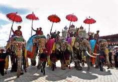 several elephants with umbrellas in front of a crowd