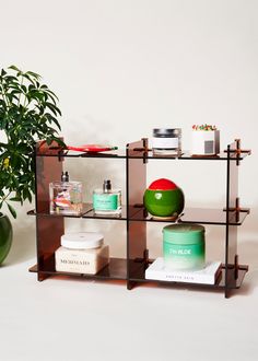 three shelves with different types of skin care products on them and a potted plant in the background