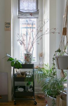 a room filled with lots of plants next to a window