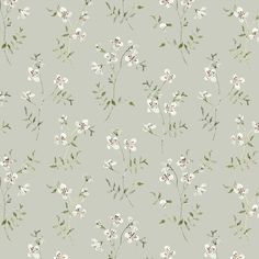 a floral pattern with white flowers on a light green background for wallpaper or upholstering