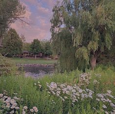 a pond surrounded by lush green trees and white flowers