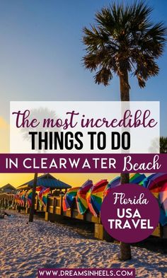 the most incredible things to do in clearwater beach florida usa travel with text overlay