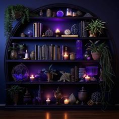 a book shelf filled with lots of books next to candles and potted plants on top of it