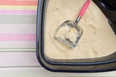 a dust pan with a scoop full of sand next to a pink handled floor mop