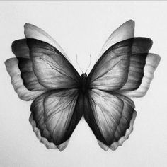 a black and white drawing of a butterfly