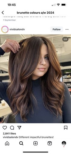 Golden Highlights, Fall Hair, Brown Hair, Shades