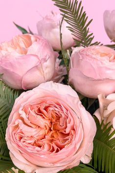 Gorgeous garden roses like Juliet and Sahara are often featured in Bespoke garden style floral designs. Seasonal Flowers, Create Something, Garden Styles, Something Beautiful, Floral Designs, Floral Arrangements