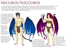 an image of two men with dragon wings on their backs and the words incubus / succubus above them