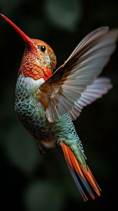 a colorful hummingbird flapping its wings in the air