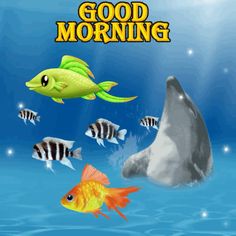 an image of a fish and some other animals in the water with words good morning