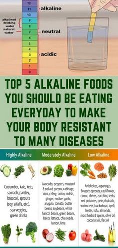 Alkaline Diet Plan, Alkaline Body, Alkaline Recipes, Fruit Health, Tomato Nutrition, Calendula Benefits, Matcha Benefits, Lemon Benefits, Coconut Health Benefits