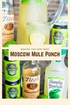 the ingredients for making this very best moscow mule punch