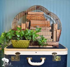 an old suitcase with plants in it and a birdcage on top, sitting against a blue wall