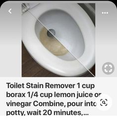 the toilet is clean and ready to be used by someone who likes to use it