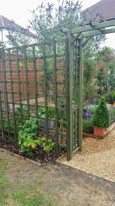 an outdoor garden area with various plants and trees