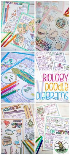 the collage of pictures shows different types of doodle diagrams and how to use them