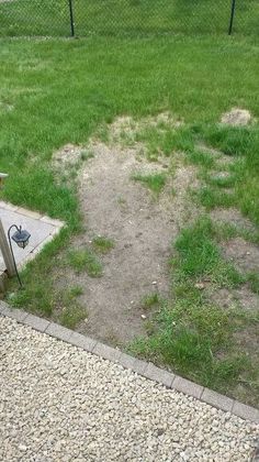 a fire hydrant sitting on the side of a road next to a fence and grass