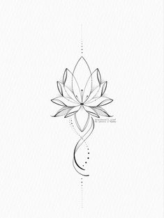 a drawing of a lotus flower on a white background