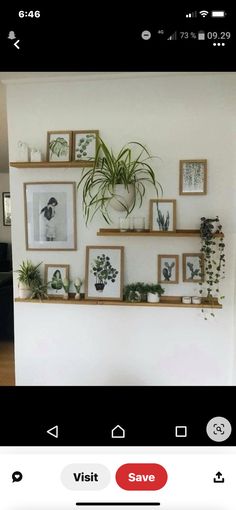 a wall with pictures and plants hanging on it's sides, along with an instagram button