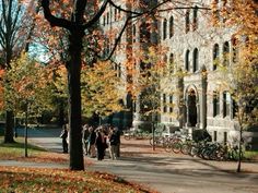 Leaves On The Ground, Princeton New Jersey, Autumn In New York, Fall Semester, Princeton University, The Secret History