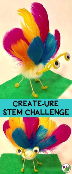 Food Chains And Food Webs, Steam Lab, Food Webs, Table Activities, Kindergarten Stem, Steam Lessons, Elementary Stem Activities, Living And Nonliving, Lab Ideas