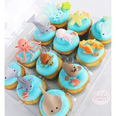 cupcakes with blue frosting and sea animals on them