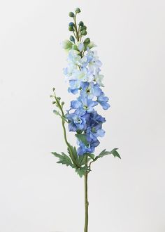 a blue flower is in a vase on a table top with a white wall behind it