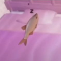 a fish floating on top of a bed in a room with pink sheets and pillows