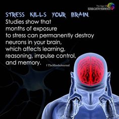 Brain Facts, Science Facts, Human Brain, Neurology