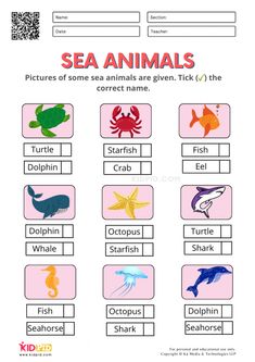 sea animals worksheet for kids to learn with their names and pictures on the page