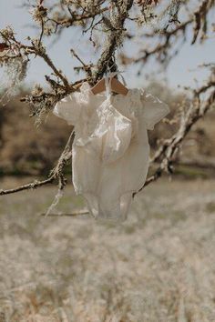 a piece of cloth hanging from a tree branch in the middle of a dry grass field