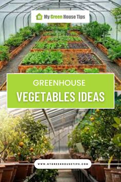 greenhouse vegetables and plants with the words greenhouse vegetable ideas on top in green house tips