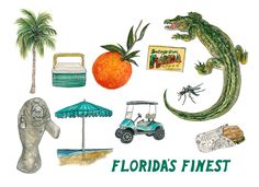 a watercolor drawing of florida's finest attractions including an orange, palm tree and alligator